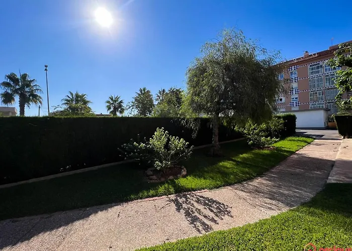 Oasis A 50m Del Mar